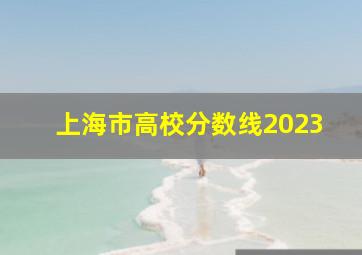 上海市高校分数线2023