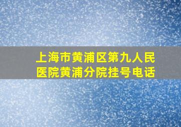 上海市黄浦区第九人民医院黄浦分院挂号电话