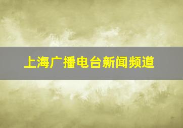 上海广播电台新闻频道