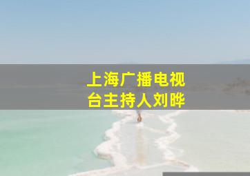 上海广播电视台主持人刘晔