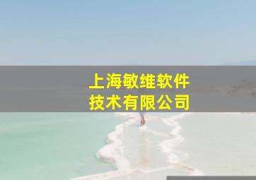 上海敏维软件技术有限公司