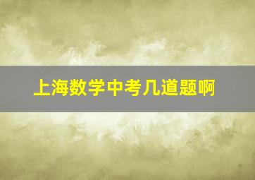 上海数学中考几道题啊