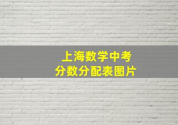 上海数学中考分数分配表图片