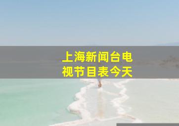 上海新闻台电视节目表今天