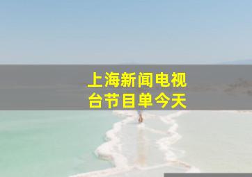 上海新闻电视台节目单今天