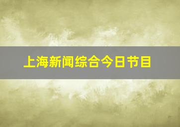 上海新闻综合今日节目