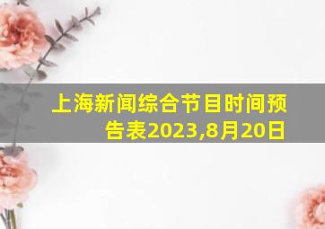 上海新闻综合节目时间预告表2023,8月20日