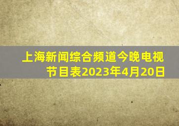 上海新闻综合频道今晚电视节目表2023年4月20日