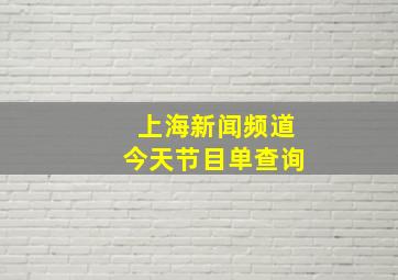 上海新闻频道今天节目单查询