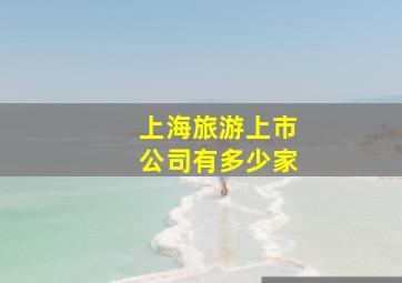 上海旅游上市公司有多少家