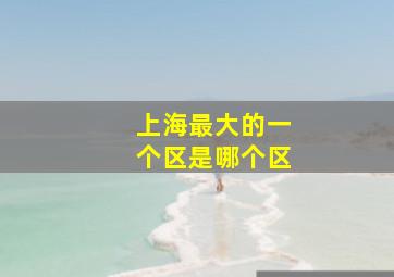 上海最大的一个区是哪个区