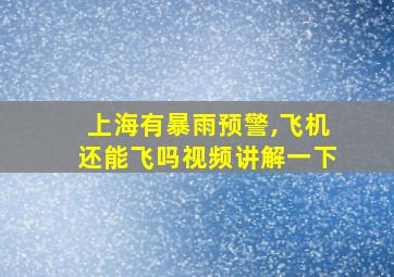 上海有暴雨预警,飞机还能飞吗视频讲解一下