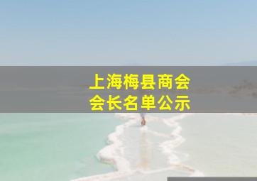 上海梅县商会会长名单公示