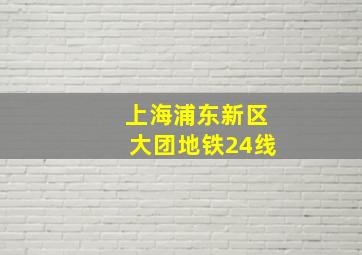 上海浦东新区大团地铁24线