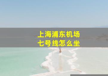 上海浦东机场七号线怎么坐