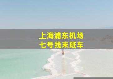 上海浦东机场七号线末班车