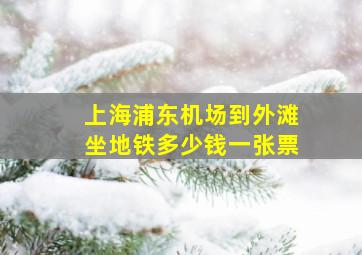 上海浦东机场到外滩坐地铁多少钱一张票