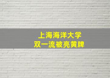 上海海洋大学双一流被亮黄牌