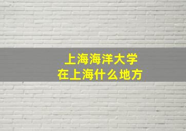 上海海洋大学在上海什么地方