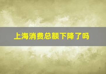 上海消费总额下降了吗