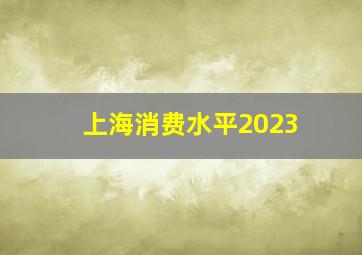 上海消费水平2023