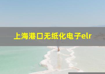 上海港口无纸化电子elr