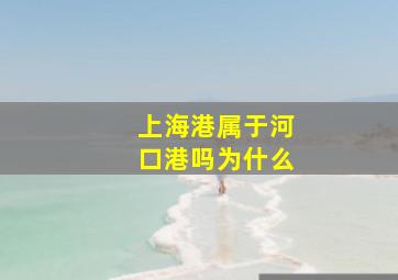 上海港属于河口港吗为什么