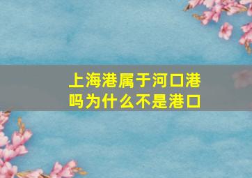 上海港属于河口港吗为什么不是港口