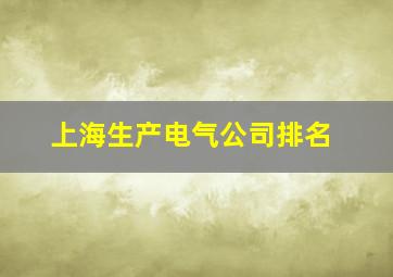 上海生产电气公司排名