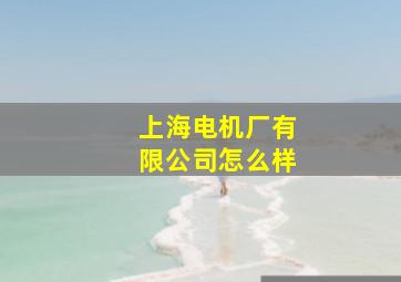 上海电机厂有限公司怎么样