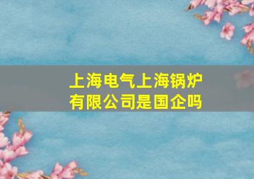 上海电气上海锅炉有限公司是国企吗