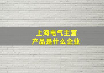 上海电气主营产品是什么企业