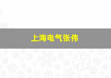 上海电气张伟