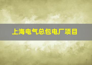 上海电气总包电厂项目