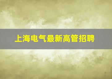 上海电气最新高管招聘