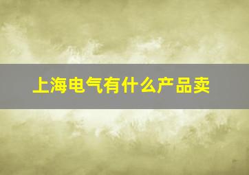 上海电气有什么产品卖