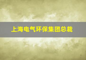 上海电气环保集团总裁