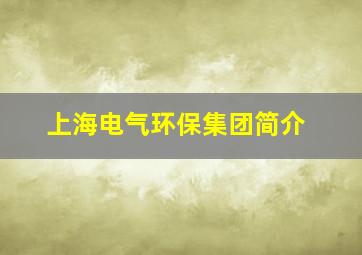 上海电气环保集团简介