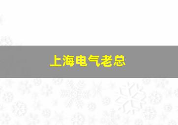 上海电气老总