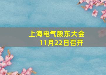 上海电气股东大会11月22日召开