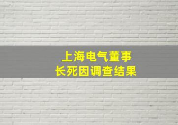 上海电气董事长死因调查结果