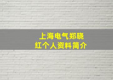 上海电气郑晓红个人资料简介