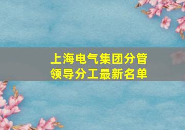 上海电气集团分管领导分工最新名单