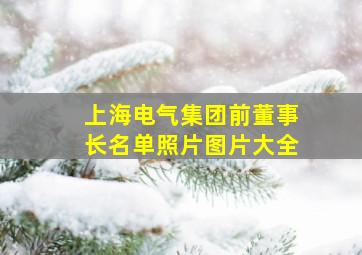 上海电气集团前董事长名单照片图片大全