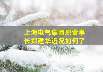 上海电气集团原董事长郑建华近况如何了