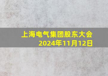 上海电气集团股东大会2024年11月12日