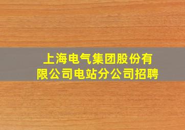 上海电气集团股份有限公司电站分公司招聘