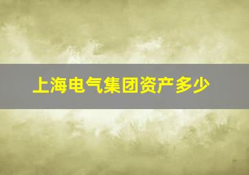 上海电气集团资产多少