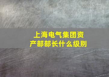 上海电气集团资产部部长什么级别