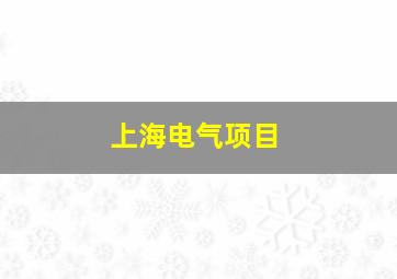 上海电气项目